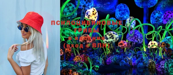 сатива Яровое