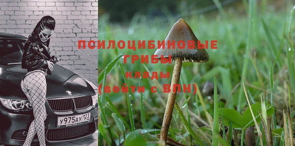 а пвп мука Яранск